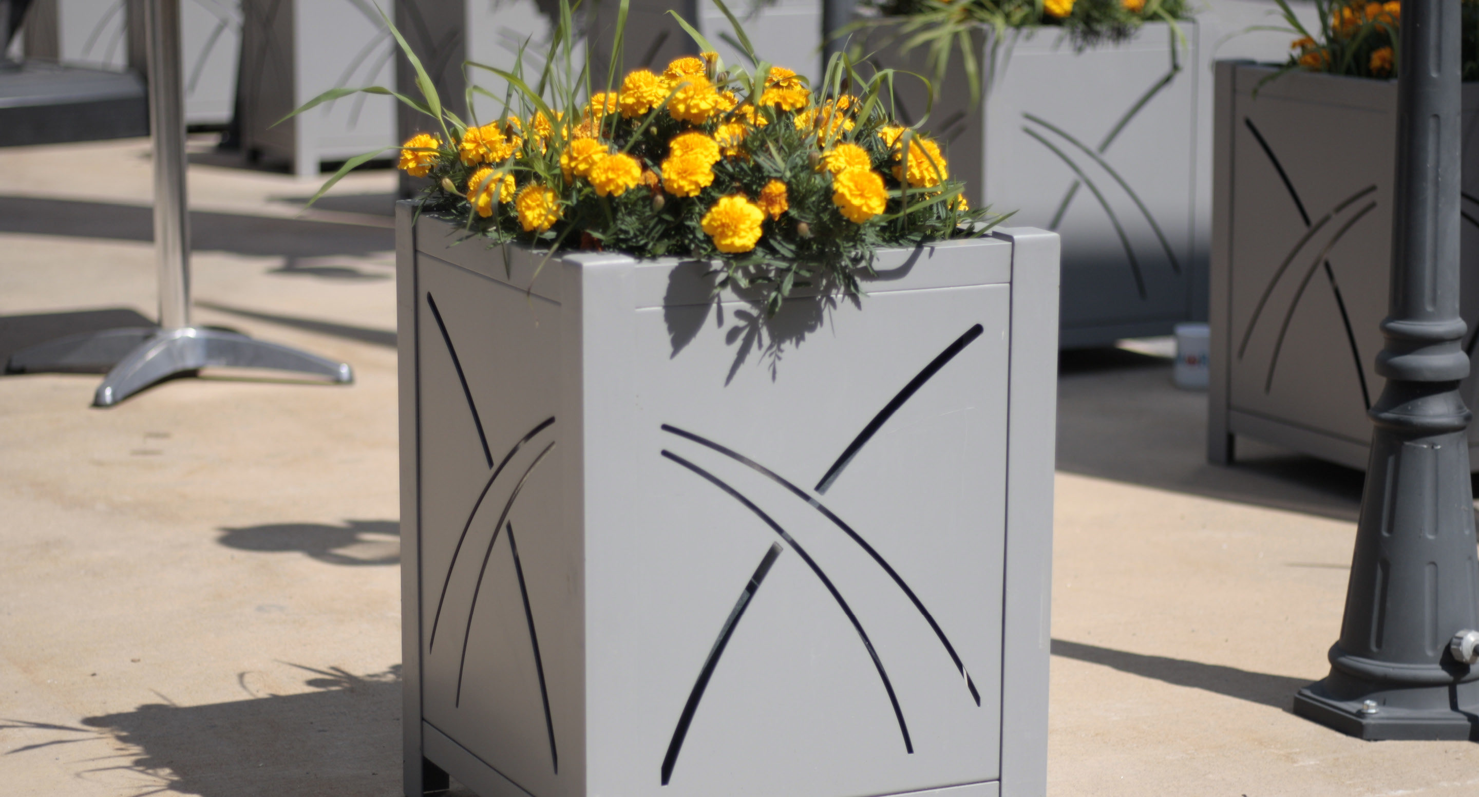 maglin_mpl-0400-planters-3 Une jardinière grise avec des fleurs de souci jaunes et des feuilles vertes est posée sur une surface en béton à l'extérieur.