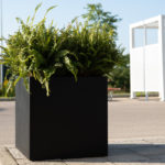A large black square planter with lush green ferns sits on a paved area outdoors, with a white metal structure and trees visible in the background.