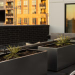 Three rectangular black planters with small spiky plants are arranged on a modern rooftop patio, with buildings and sliding glass doors in the background.