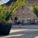 Large black planters with green plants and vines stand on a cobblestone square in front of a historic building with arched windows and shops.