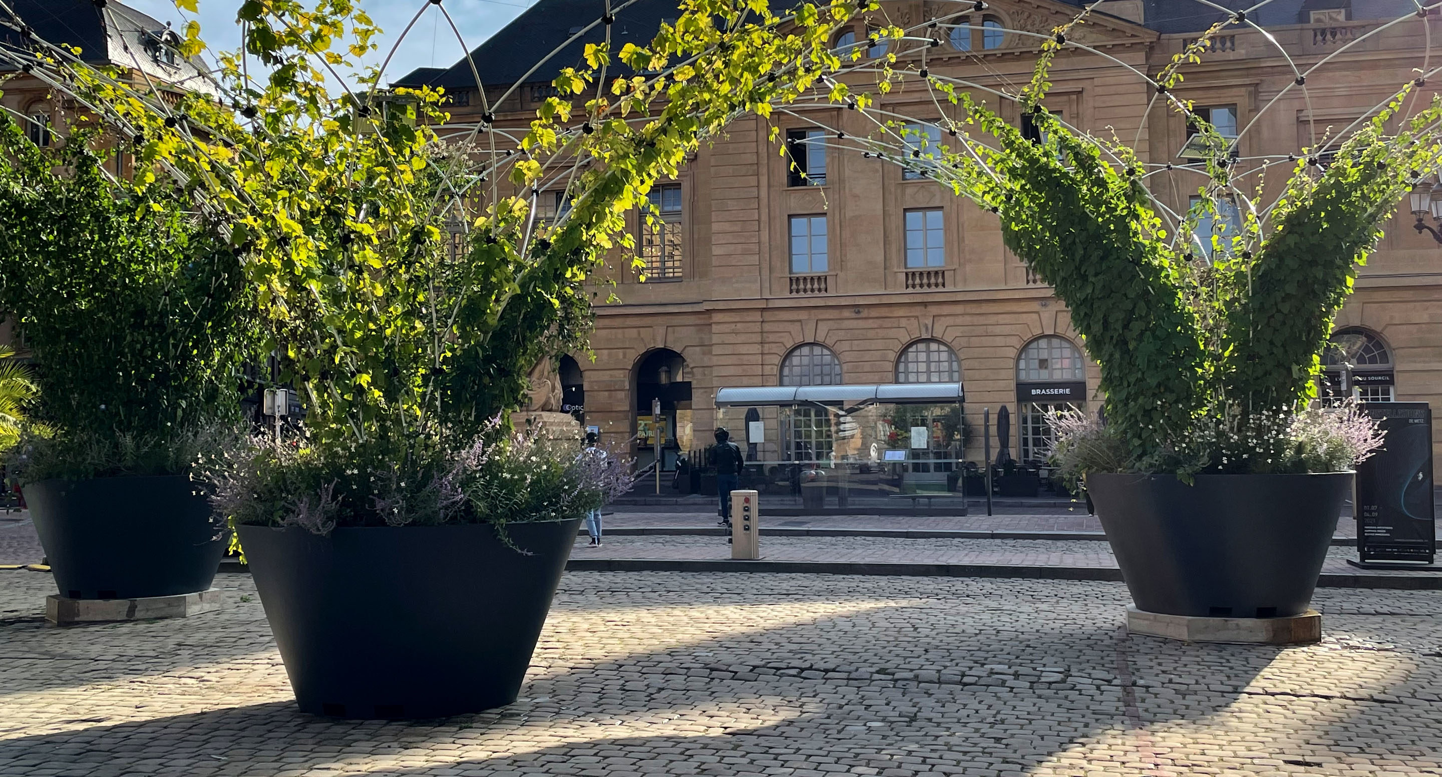 Large black planters with green plants and vines stand on a cobblestone square in front of a historic building with arched windows and shops.