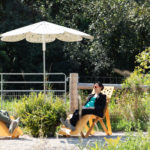 Deux personnes sont assises sur des chaises longues en bois sous un parasol blanc dans un espace extérieur avec de la verdure et une clôture métallique en arrière-plan.