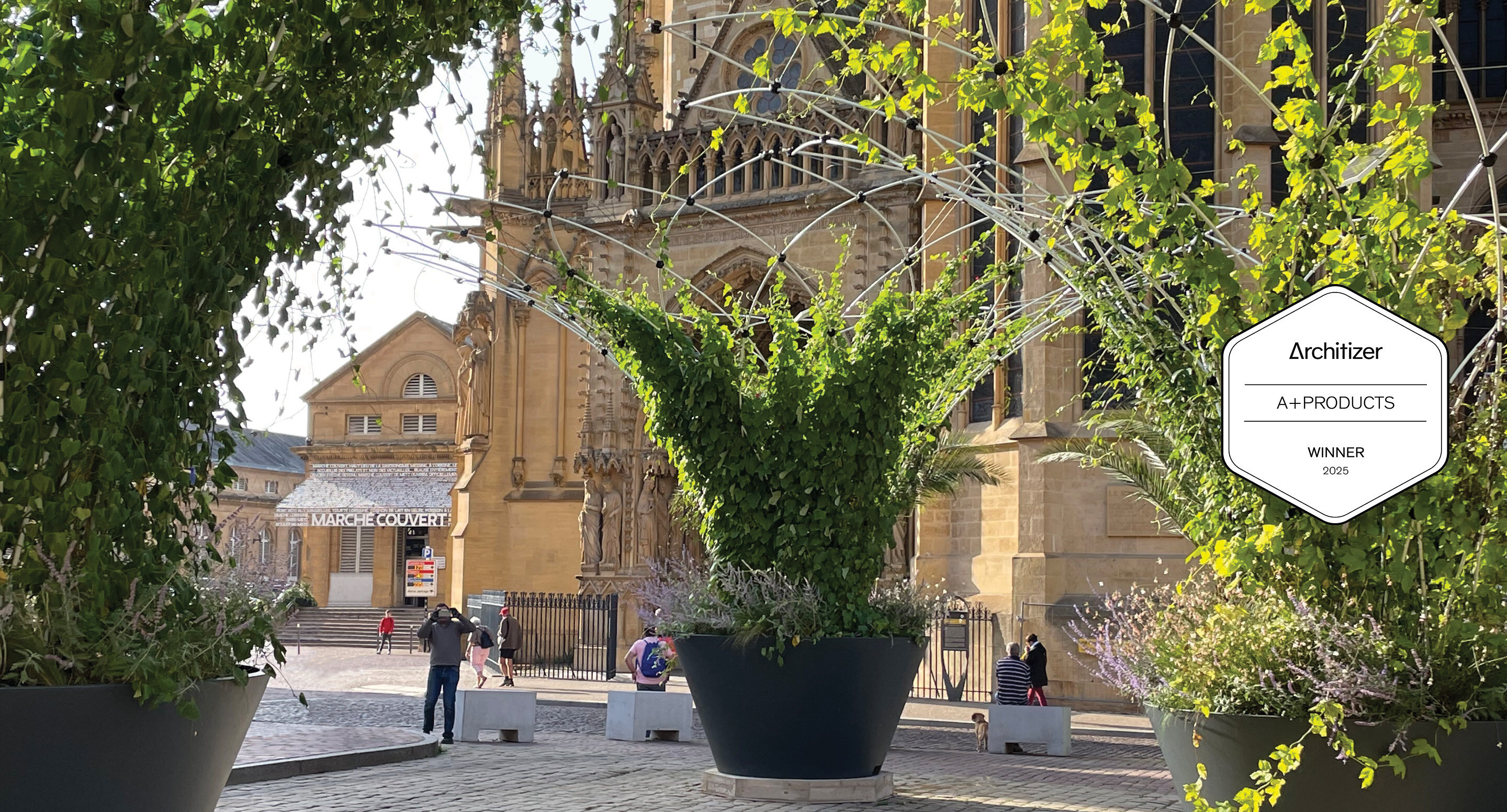 Three Maglin Corolles - large potted plants with shade trellises stand in a cobblestone square near a historic stone building. A few people walk and sit nearby. An award badge overlays the image on the right reads 