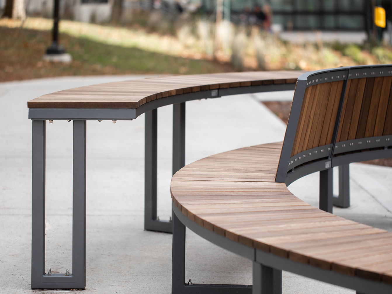 Des bancs en bois incurvés de la collection Ogden, dotés d'une élégante armature métallique, sont disposés le long d'une allée pavée dans un parc extérieur accueillant.