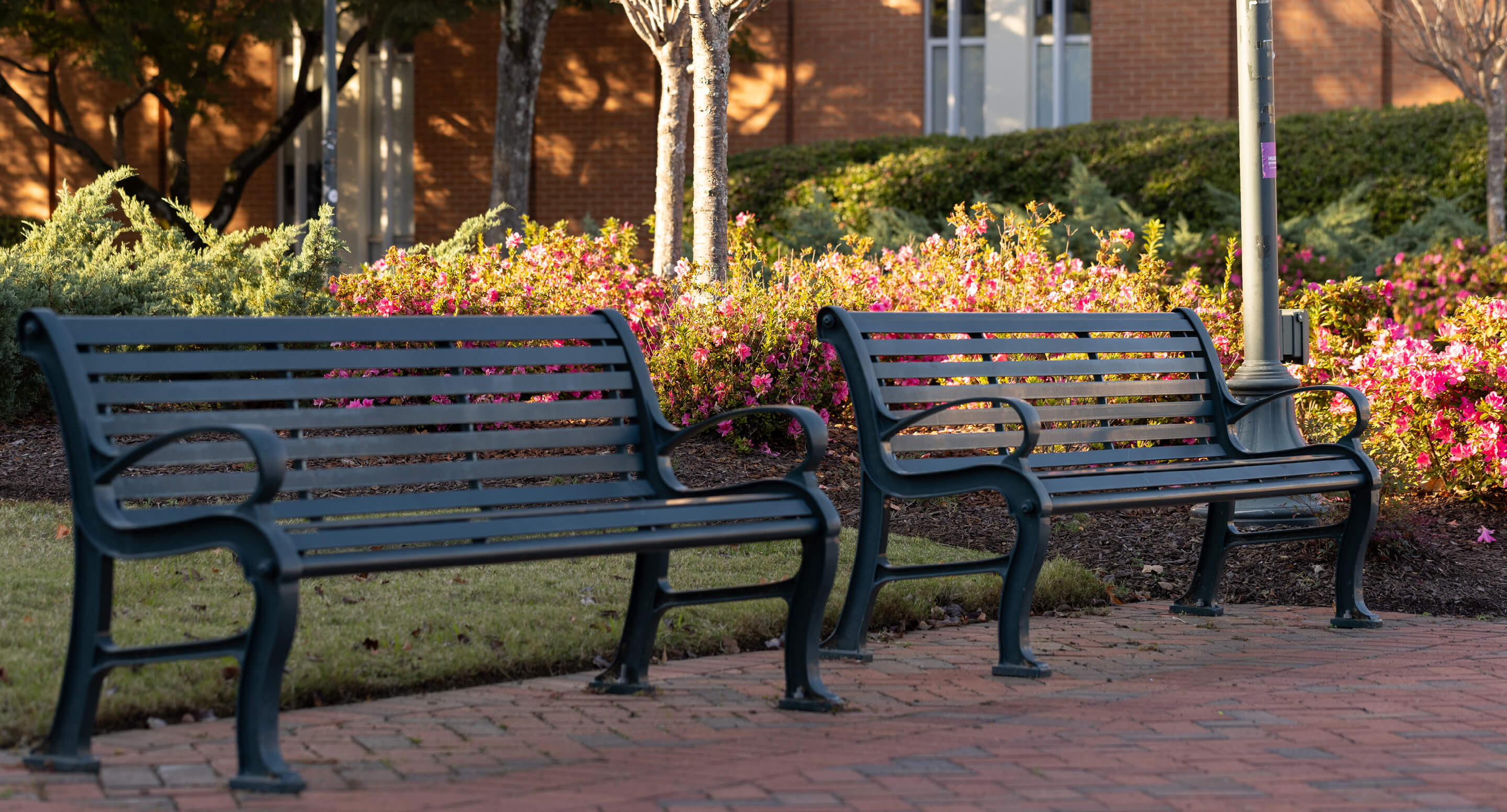 Two empty green benches sit on a brick pathway in front of blooming pink flowers and shrubs, with trees and a brick building in the background.