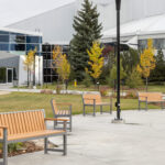 Modern outdoor courtyard with several wooden benches, trees with autumn foliage, lamp posts, and a glass building entrance in the background.