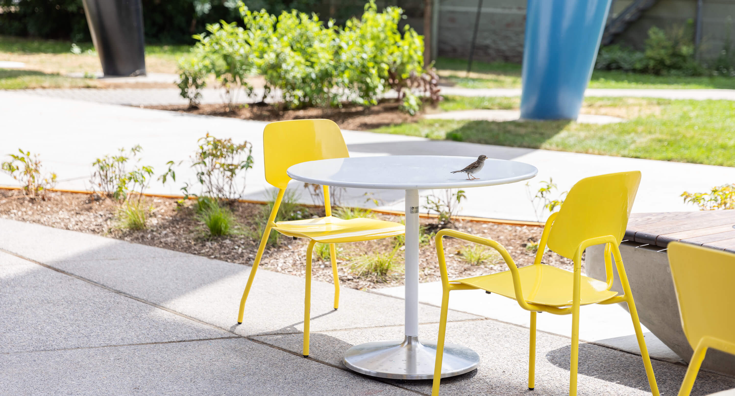 A small bird is perched on a round white table surrounded by three yellow chairs in an outdoor seating area.
