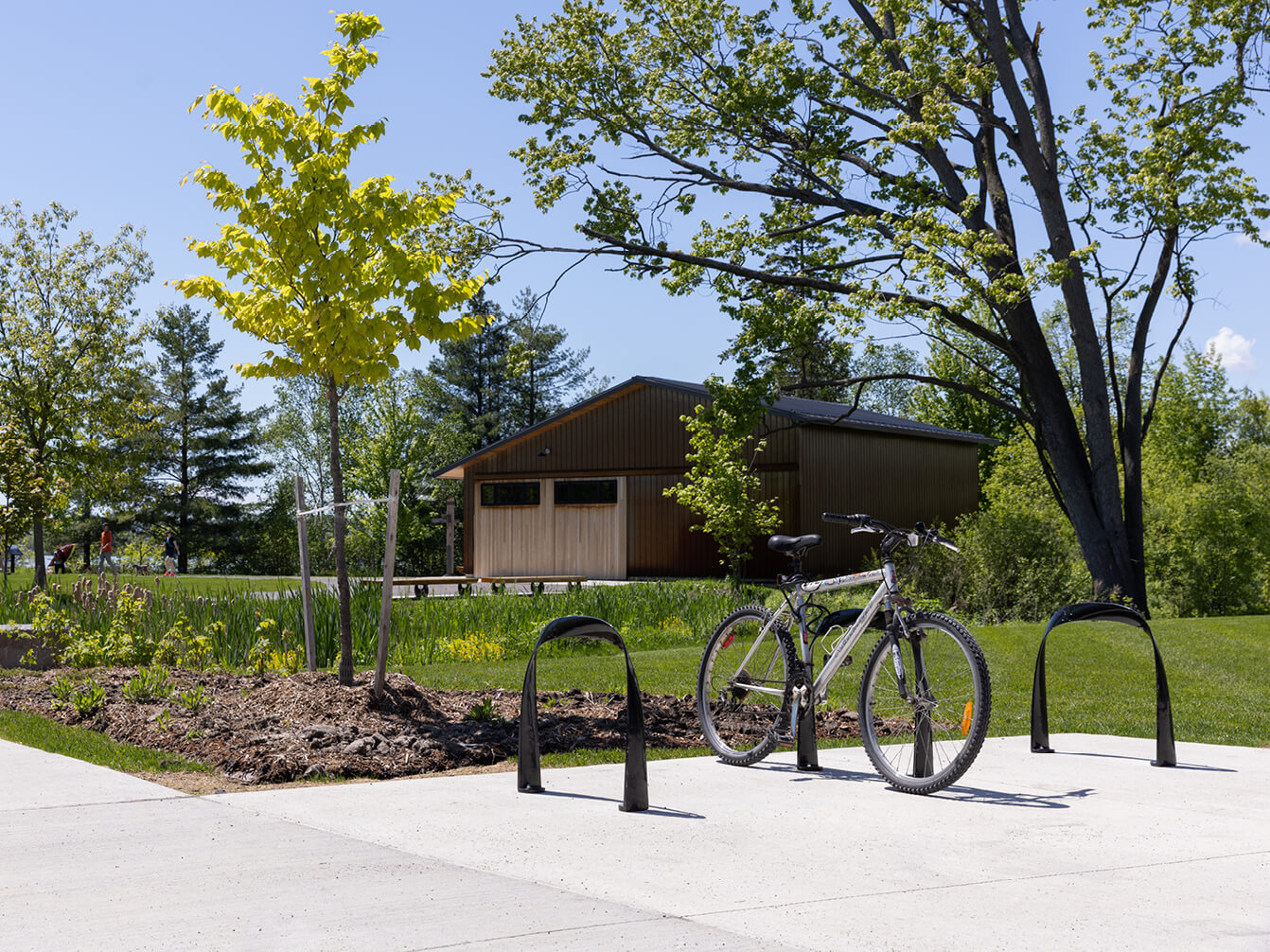 A bicycle is parked at site furniture by a young tree, with a wooden building and green trees in the background on a sunny day—an example of thoughtful space planning.