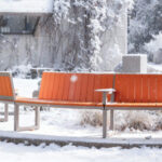 A beagle puppy from the Ogden Collection sits alone on an orange curved bench in a snowy outdoor setting, with trees and a building in the background.