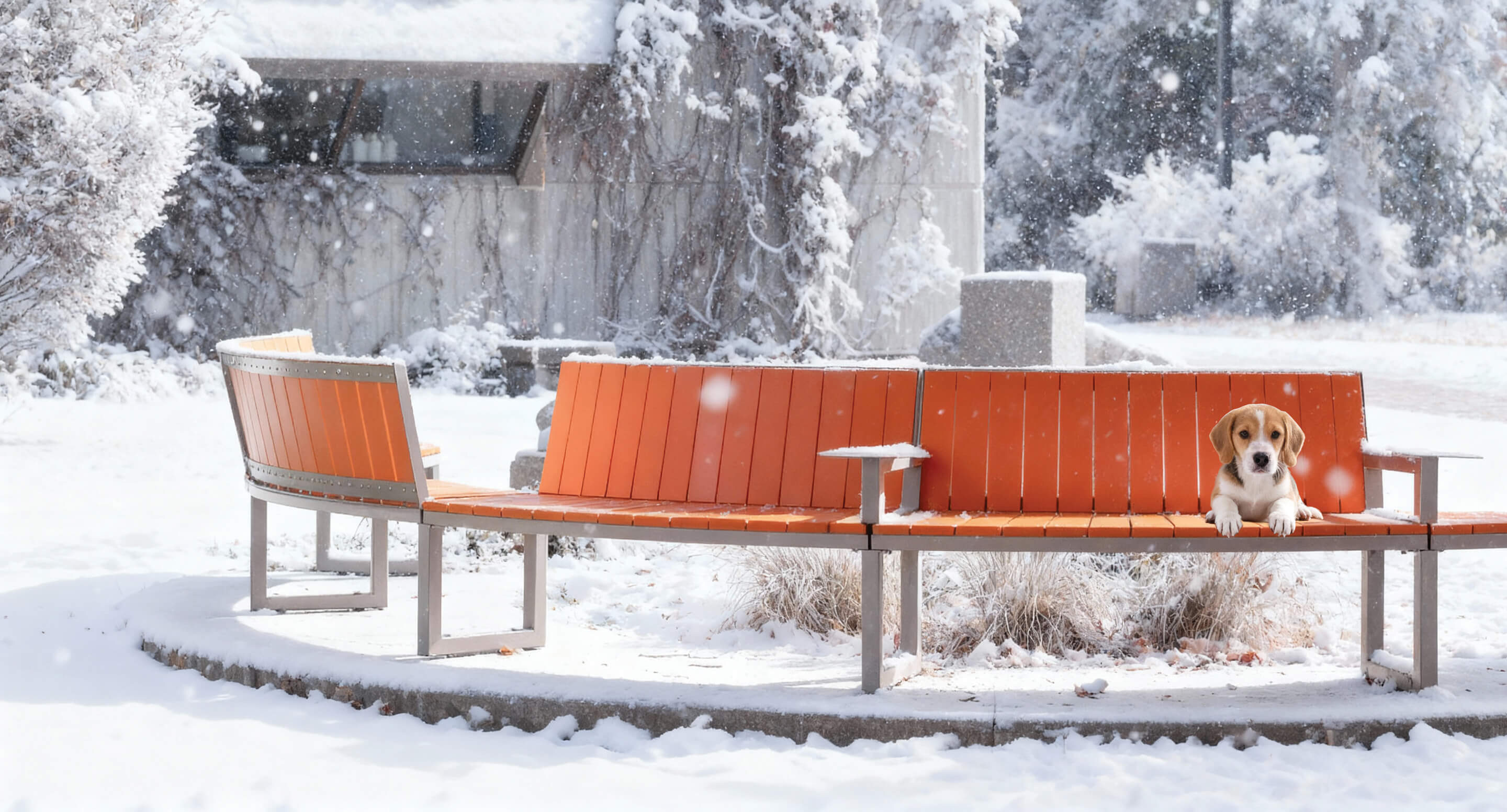 A beagle puppy from the Ogden Collection sits alone on an orange curved bench in a snowy outdoor setting, with trees and a building in the background.