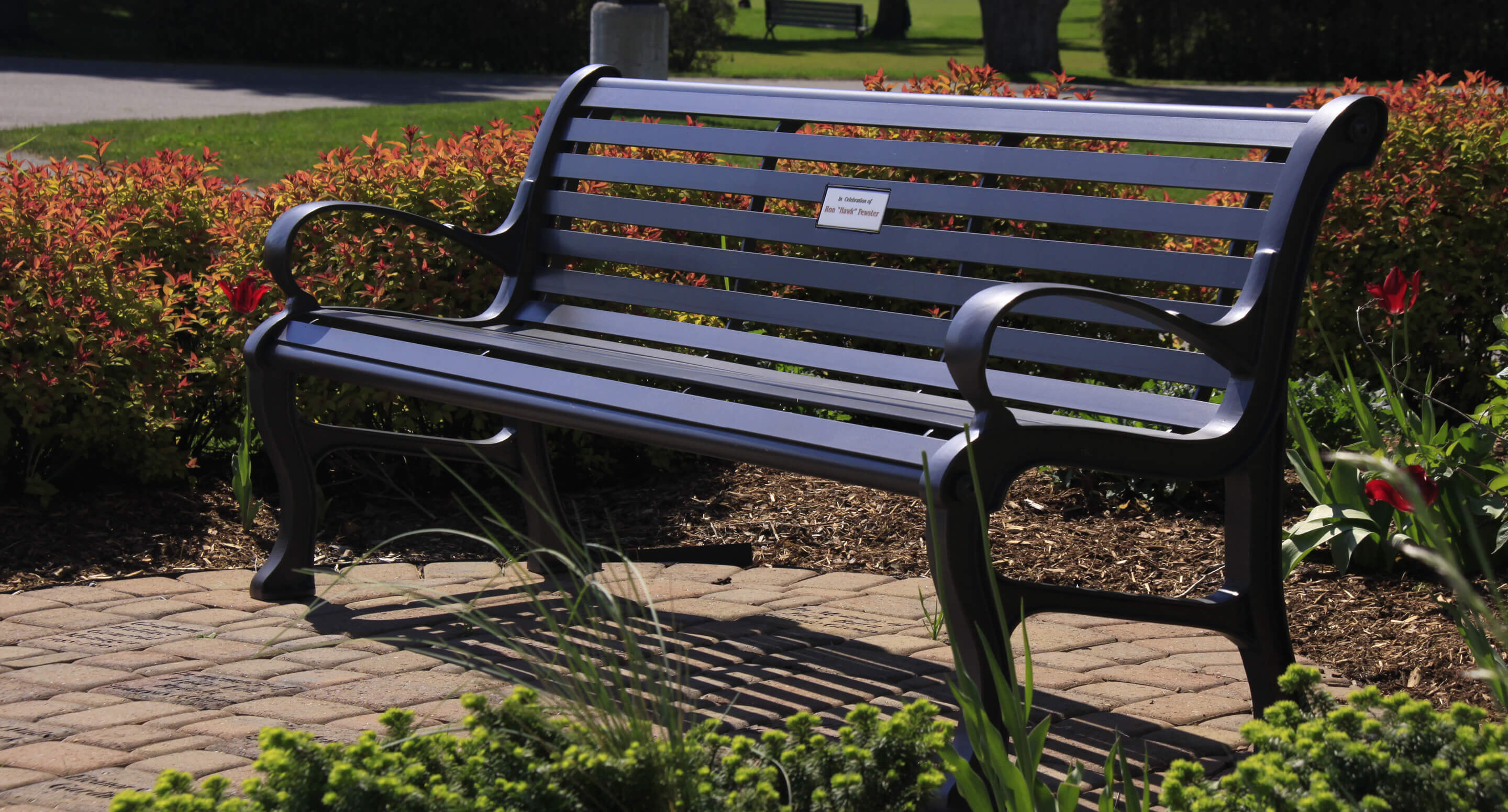 Black metal park bench on a paved path, surrounded by green shrubs and red flowers, with a small dedication plaque on the backrest.
