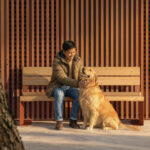 A man in a winter coat sits on a wooden bench outdoors, petting a golden retriever dog, with sunlight casting shadows through a slatted wooden wall behind them.