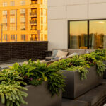 Modern rooftop patio at Link Apartments on Mint Street, Charlotte NC, featuring large planters filled with green plants, outdoor seating, a glass fire pit, and nearby apartment buildings reflecting golden sunlight.