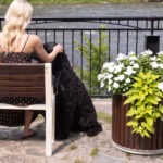 A woman with blonde hair sits on a bench by a river, petting a large black dog. A planter with white flowers and green leaves is nearby.