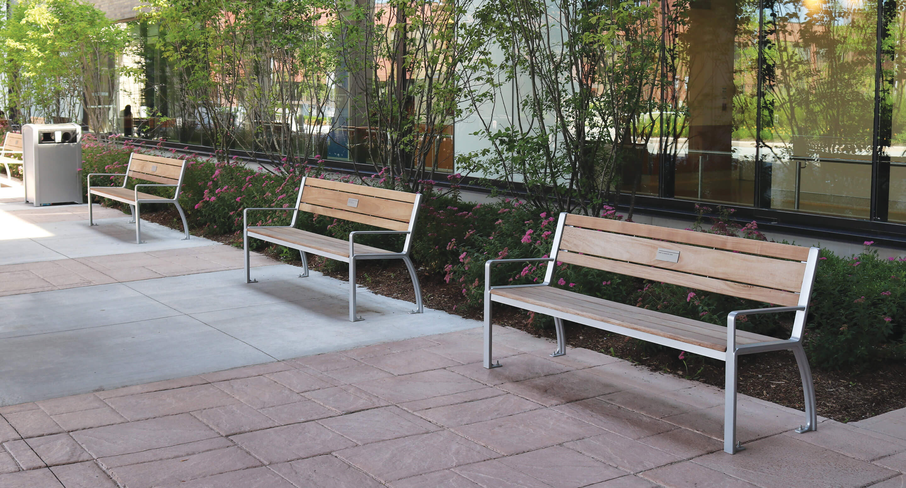 milton-district-hospital-970-benches-waste-recycling-container Trois bancs en bois avec une structure métallique, disposés le long d'un trottoir bordé de petits arbustes à fleurs.