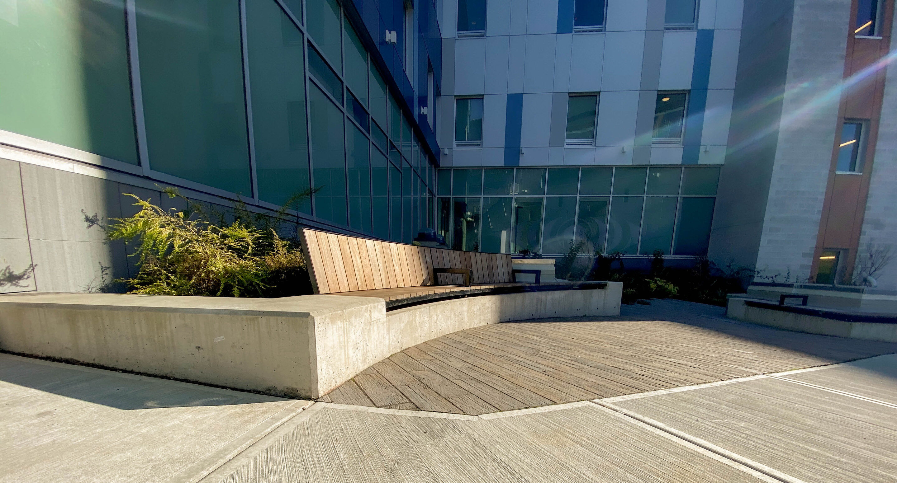 royal-columbian-hospital-ogden-bench-entrance-3 Un banc en bois incurvé intégré à une jardinière en béton dans la cour d'un immeuble moderne.